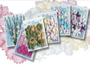 Mulberry Paper Flowers 